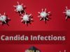 What to Know About Candida Infections Candida Infections