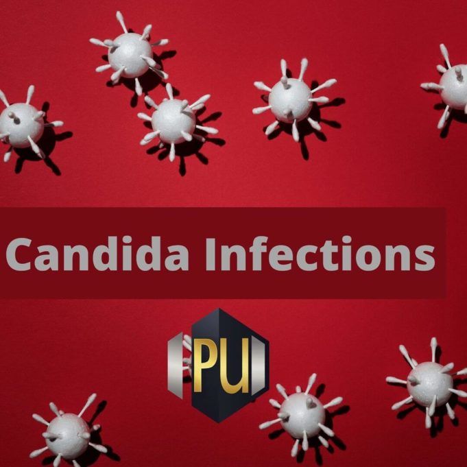 What to Know About Candida Infections Candida Infections
