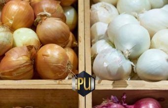Top Hidden Health Benefits of Onion www.21e645788a.nxcli.net/The Hidden Benefits of Onion You've Ignored for Years