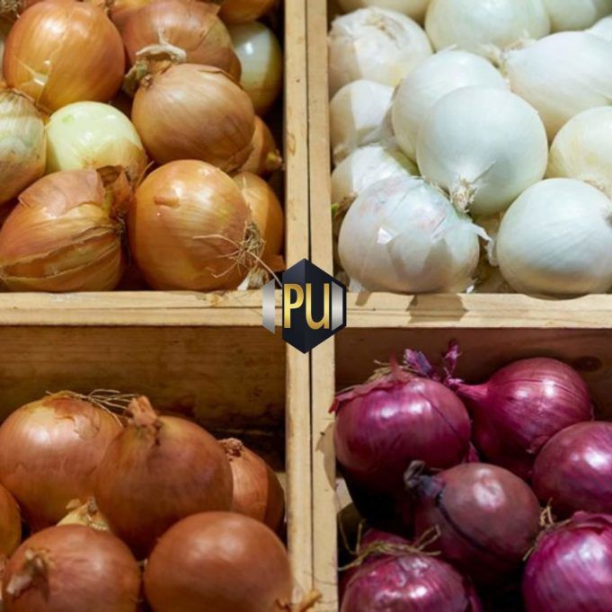Top Hidden Health Benefits of Onion www.21e645788a.nxcli.net/The Hidden Benefits of Onion You've Ignored for Years