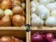 Top Hidden Health Benefits of Onion www.21e645788a.nxcli.net/The Hidden Benefits of Onion You've Ignored for Years