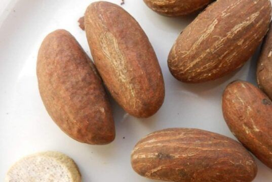 Health Benefits of Bitter Kola 8 Reasons You Should Always Chew Bitter Kola.