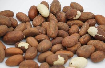 5 Health Benefits of Bitter Kola Bitter Health Benefits of Bitter Kola