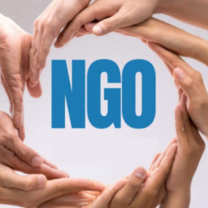 NGOs That Assist Females Local and Global NGOs That Assist Females
