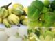 Health Benefits of Garden Egg and Risk Factors Garden Egg Benefits and Risk Factors