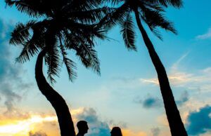 The Story Less Shared - Part 2