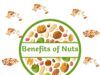 Types of Nut and there Benefits Benefits of nut