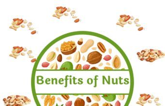 Types of Nut and there Benefits Benefits of nut