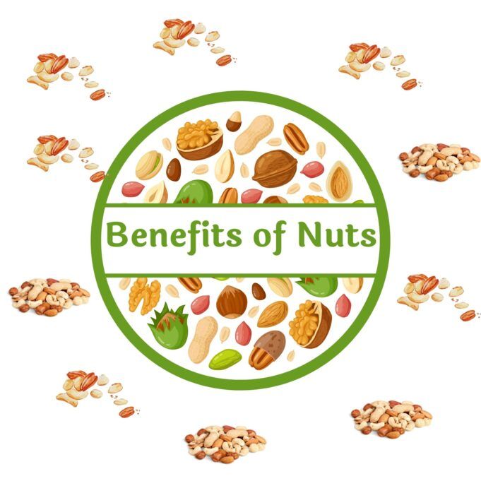 Types of Nut and there Benefits Benefits of nut