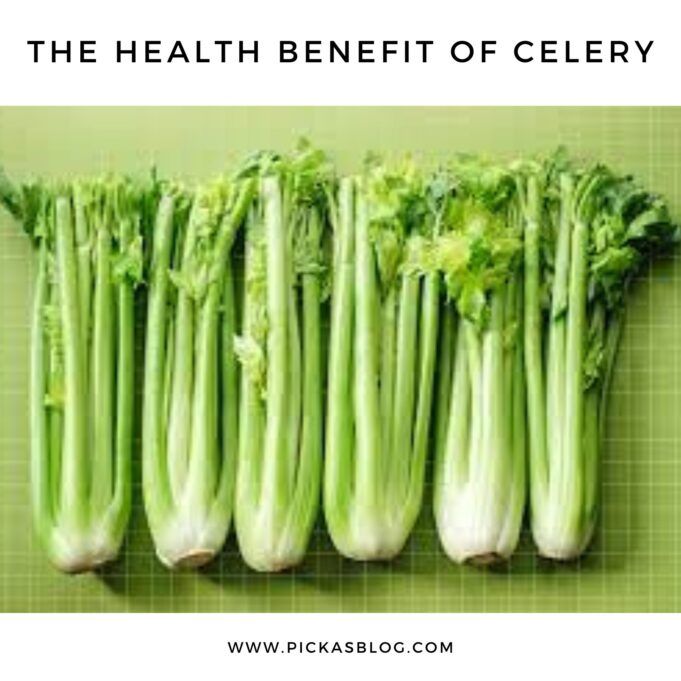 Benefit of Celery The Health Benefit of Celery