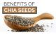 Benefits of Chia seeds Benefits of Chia seeds
