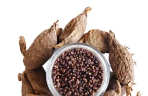 Health Benefits of Alligator Pepper alligator pepper health benefits