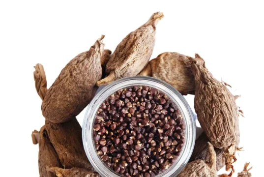 Health Benefits of Alligator Pepper alligator pepper health benefits