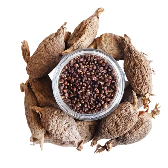 Health Benefits of Alligator Pepper alligator pepper health benefits