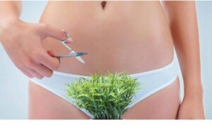Is Scissor Good for Shaving the Pubic Area Is Scissor Good for Shaving the Pubic Area