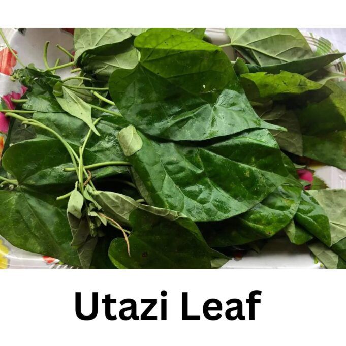 Side Effect Of Utazi Leaf Utazi Leaf