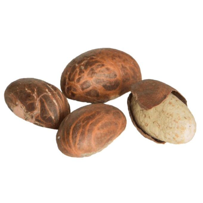 Side Effect of Bitter Kola During Pregnancy Bitter Kola