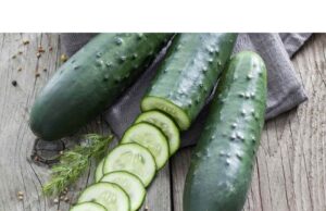 Importance of Cucumber Sexually Importance of Cucumber Sexually