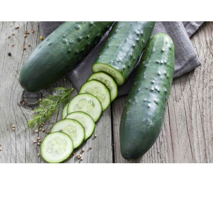 Importance of Cucumber Sexually Importance of Cucumber Sexually