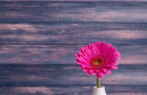 How To Write Memorial Service Invitation Letter How To Write Memorial Service Invitation Letter
