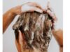 How Often Should 4C Hair Be Washed? How Often Should 4C Hair Be Washed?