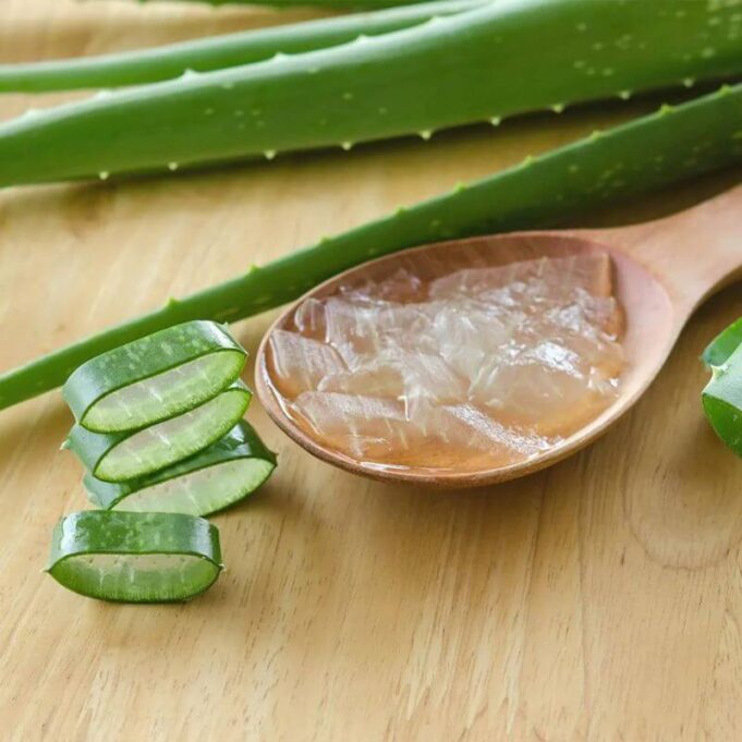 How To Use Aloe Vera Gel On Face At Night How To Use Aloe Vera Gel On Face At Night