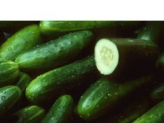 Does Cucumber Clears Acne Does Cucumber Clears Acne