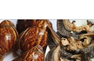 How To Wash Snail Without Alum How To Wash Snail