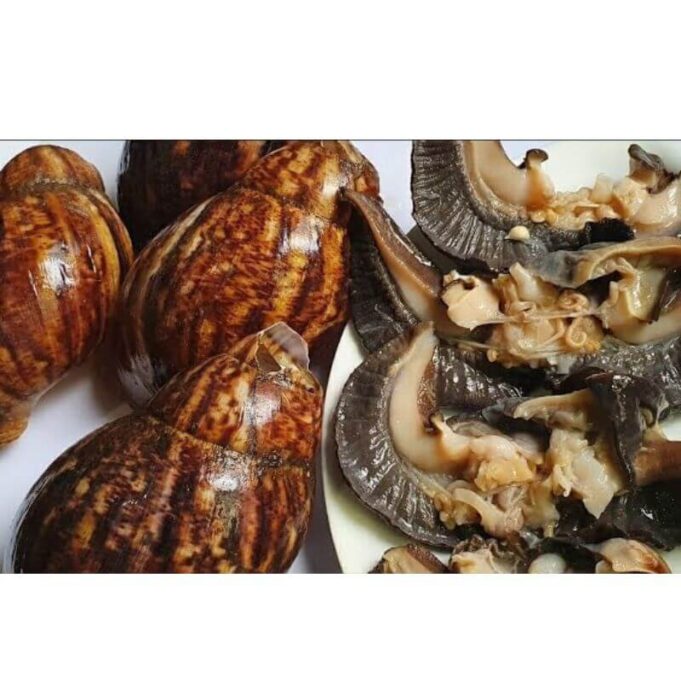 How To Wash Snail Without Alum How To Wash Snail