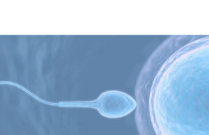 Does Thickness Of Sperm Determine Fertility Does Thickness Of Sperm Determine Fertility