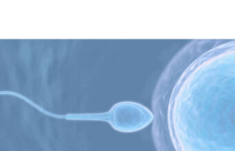 Does Thickness Of Sperm Determine Fertility Does Thickness Of Sperm Determine Fertility