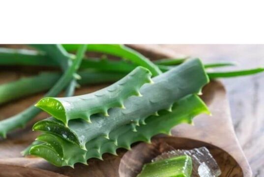 How to Use Aloe Vera for Beard Growth How To Make Aloe Vera Gel Thick
