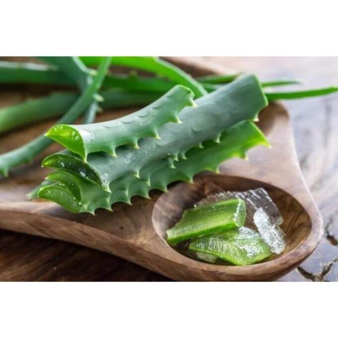 How to Use Aloe Vera for Beard Growth How To Make Aloe Vera Gel Thick