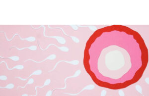 How To Make Your Sperm Thick How To Make Your Sperm Thick