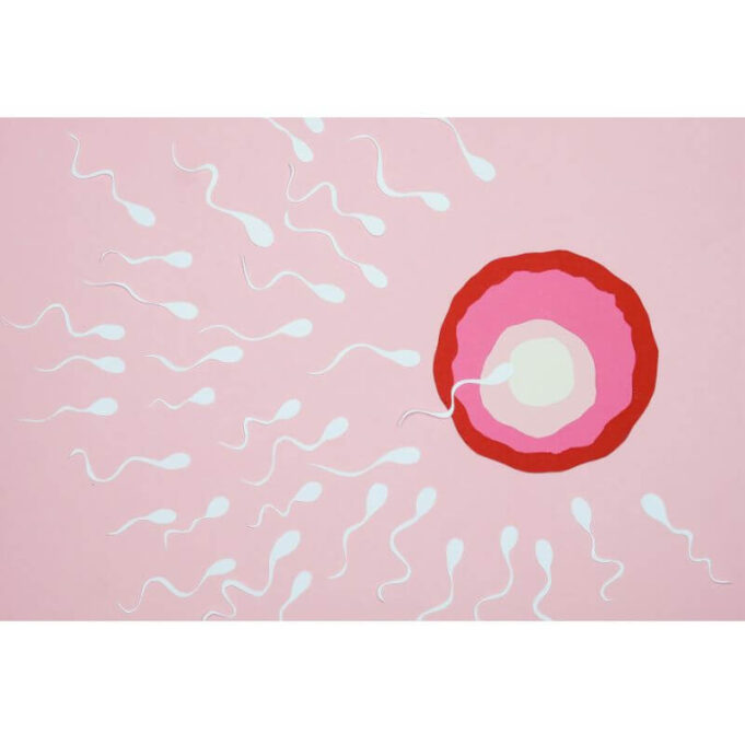 How to Increase Sperm Motility Naturally How to Increase Sperm Motility Naturally