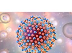 How to Reduce Hepatitis B viral load Naturally How to Reduce Hepatitis B viral load Naturally