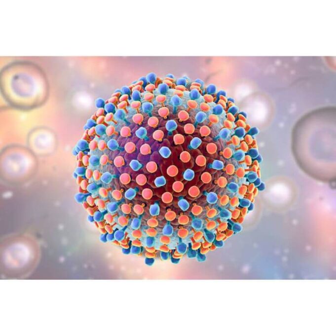 How to Reduce Hepatitis B viral load Naturally How to Reduce Hepatitis B viral load Naturally