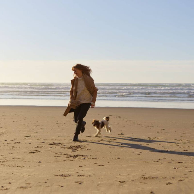 How to Stop Your Dog from Barking At Strangers How to Stop Your Dog from Barking At Strangers