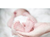 What is more painful, C Section or Natural Birth? What is more painful, C Section or Natural Birth?