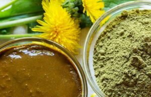 How to Use Henna for Hair Thickness How to Use Henna for Hair Thickness