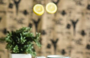 Is Fermented Lemon Juice Good For The Skin Is Fermented Lemon Juice Good For The Skin