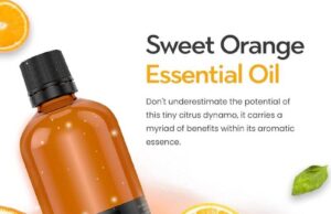 Benefits Of Sweet Orange Essential Oil For Skin. Everything You Need To Know Benefits Of Sweet Orange Essential Oil For Skin. Everything You Need To Know
