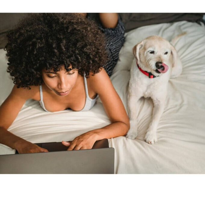 How to Stop Dog Chewing Bed How to Stop Dog Chewing Bed