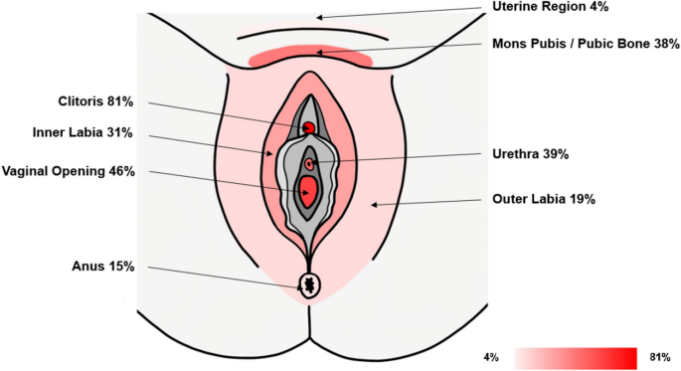 Arousal Syndrome Signs And Treatment Arousal Syndrome Signs And Treatment
