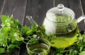 Benefits of Drinking Green Tea for Skin Benefits of Drinking Green Tea for Skin