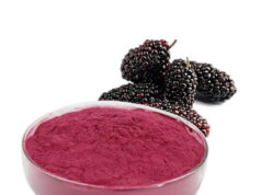How to use Mulberry Powder for Skin How to use Mulberry Powder for Skin