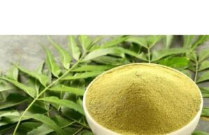 Neem Powder Benefits for Skin Neem Powder Benefits for Skin