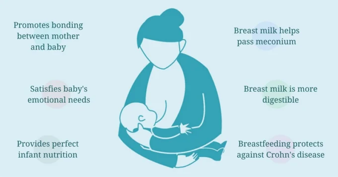 Benefits Of Breast Feeding. All You Need to Know Benefits Of Breast Feeding