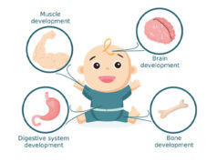 Benefits Of Breast Milk. All You Need to Know Benefits Of Breast Milk