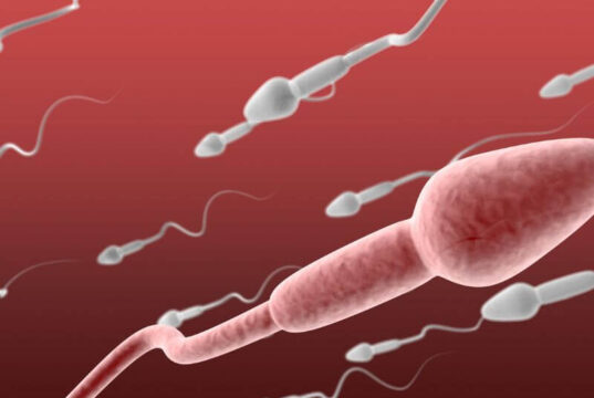 Can Sperm Go Through 1 Layer Clothing
